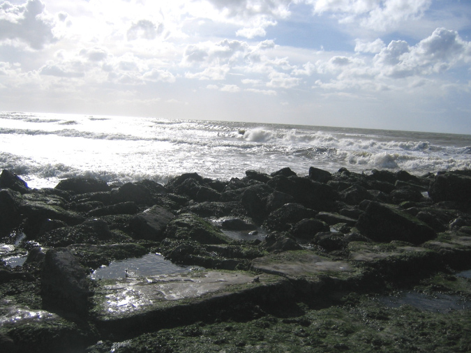 Blick auf das Meer bei Ebbe an der belgischen Küste
