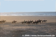 Pferde am Strand -
