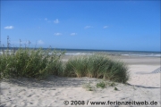 Strand mit Dünen 